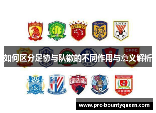 如何区分足协与队徽的不同作用与意义解析