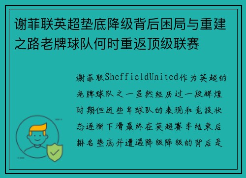谢菲联英超垫底降级背后困局与重建之路老牌球队何时重返顶级联赛